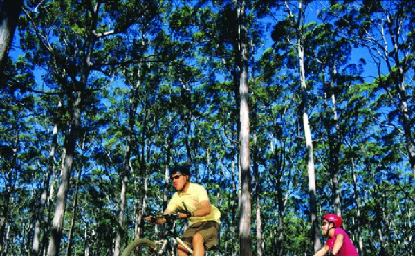 I Want to Ride My Bicycle - Best bike tracks in Dubbo and the Margaret River