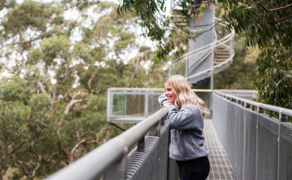 TAKE A WALK THROUGH THE TREES WITH ILLAWARRA FLY TREETOP ADVENTURES