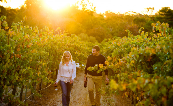 The Ultimate Guide to Australia's Best Regional Wineries