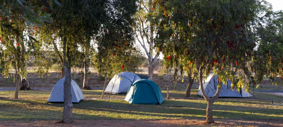 Alice Springs Powered Tent Site - Pet Friendly