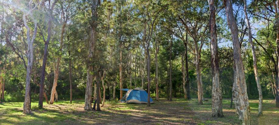 Gladstone Unpowered Tent Site