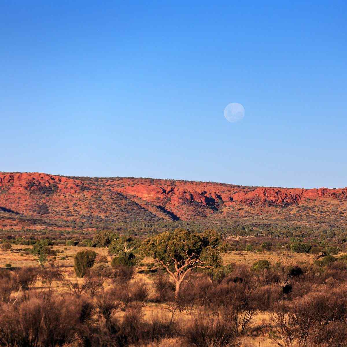 red centre outback